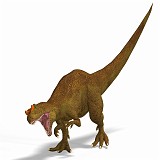 Allosaurus 02 A_0001